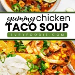 Chicken Taco Soup - EVRYFOODIE