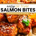 Air Fryer Salmon - EVRYFOODIE