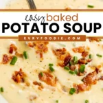 Baked Potato Soup - EVRYFOODIE