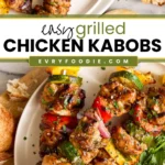 Grilled Chicken Kabobs - EVRYFOODIE