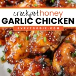 Honey Garlic Chicken - EVRYFOODIE