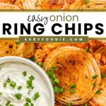 Onion Ring Chips - EVRYFOODIE